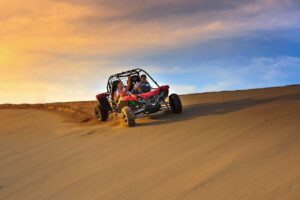 Desert Safari